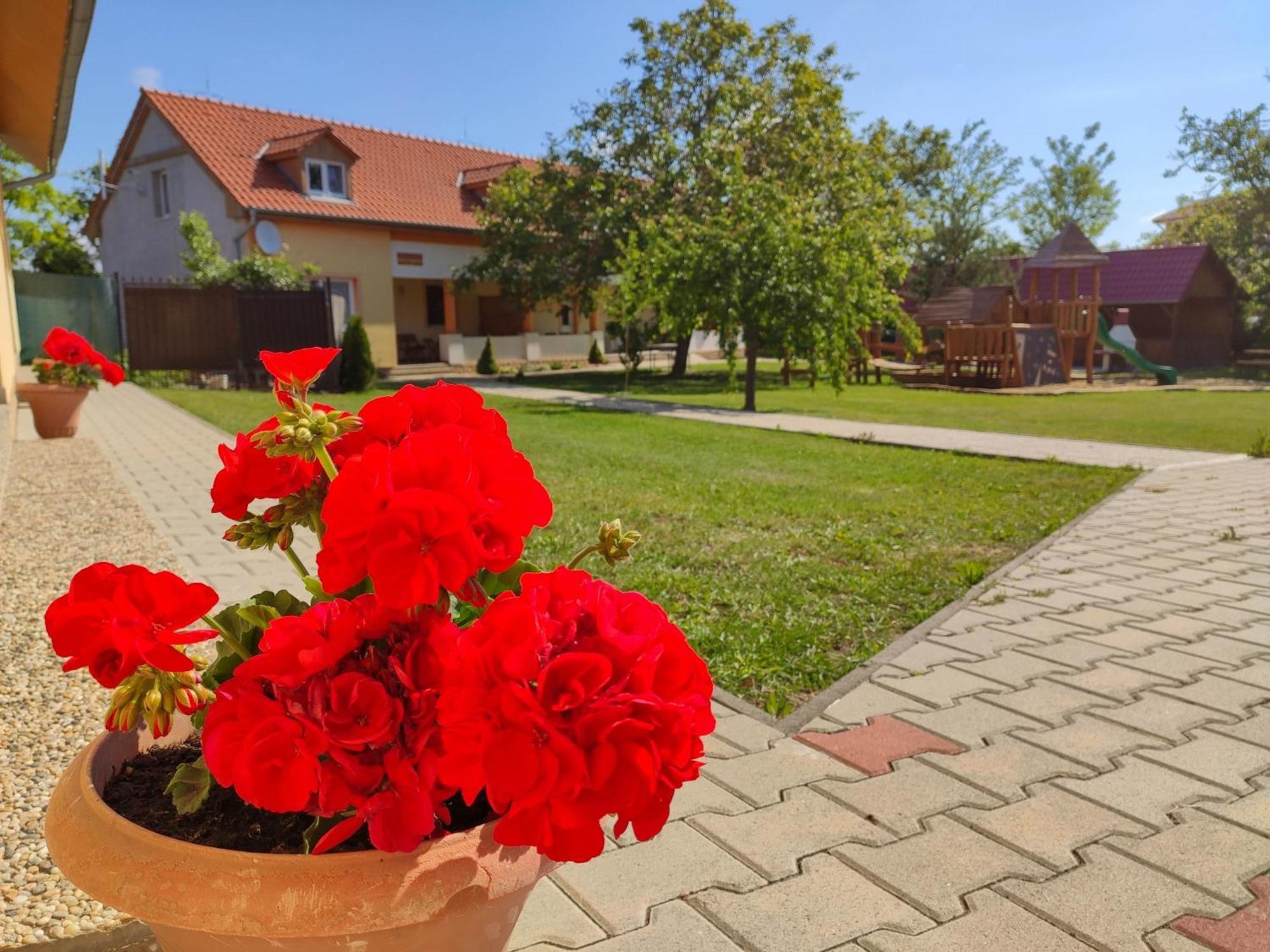 Ubytovanie Liska Radava Екстериор снимка
