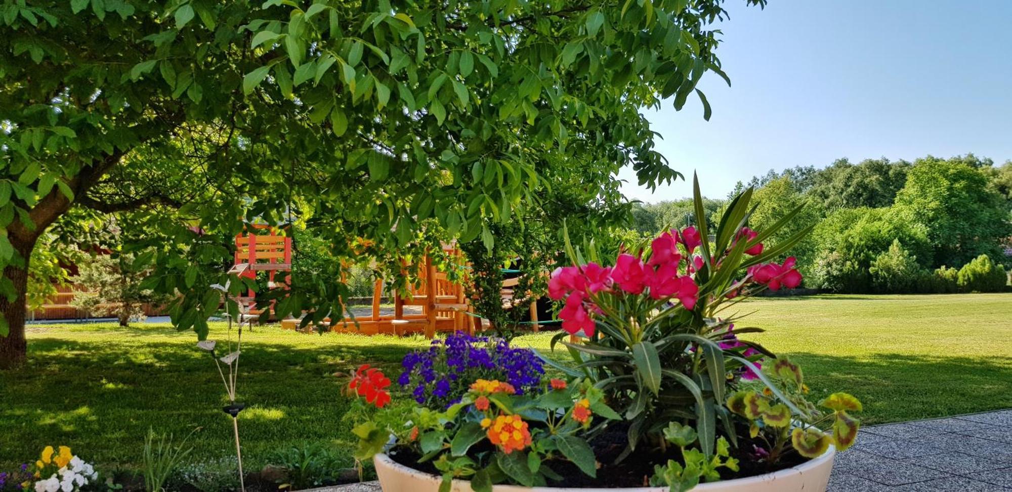 Ubytovanie Liska Radava Екстериор снимка